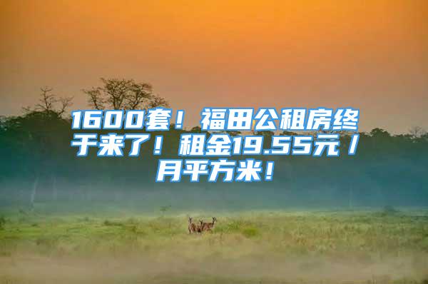 1600套！福田公租房終于來了！租金19.55元／月平方米！