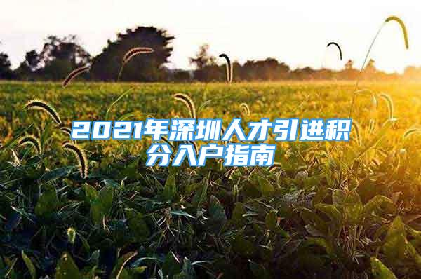 2021年深圳人才引進(jìn)積分入戶(hù)指南