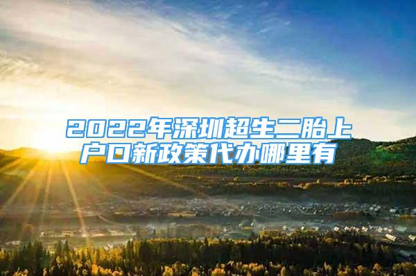 2022年深圳超生二胎上戶口新政策代辦哪里有