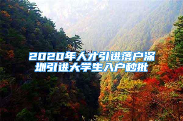 2020年人才引進(jìn)落戶深圳引進(jìn)大學(xué)生入戶秒批