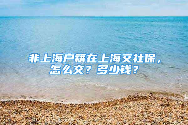 非上海戶籍在上海交社保，怎么交？多少錢？