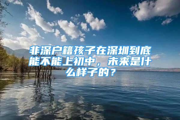 非深戶籍孩子在深圳到底能不能上初中，未來(lái)是什么樣子的？