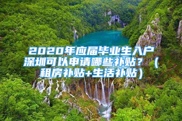 2020年應(yīng)屆畢業(yè)生入戶深圳可以申請哪些補貼？（租房補貼+生活補貼）