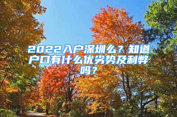 2022入戶深圳么？知道戶口有什么優(yōu)劣勢及利弊嗎？