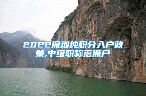 2022深圳純積分入戶政策,中級(jí)職稱落深戶