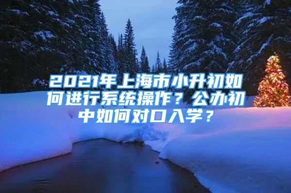 2021年上海市小升初如何進(jìn)行系統(tǒng)操作？公辦初中如何對(duì)口入學(xué)？