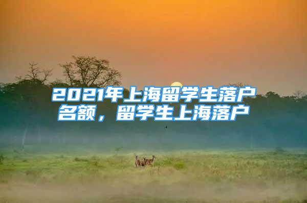 2021年上海留學(xué)生落戶名額，留學(xué)生上海落戶