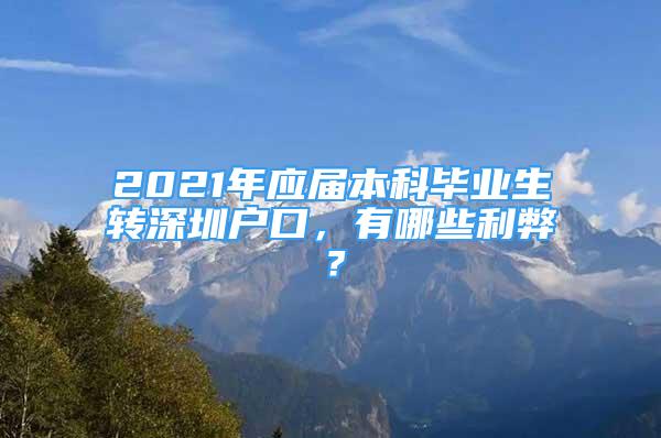 2021年應(yīng)屆本科畢業(yè)生轉(zhuǎn)深圳戶口，有哪些利弊？