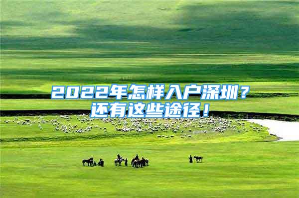 2022年怎樣入戶深圳？還有這些途徑！