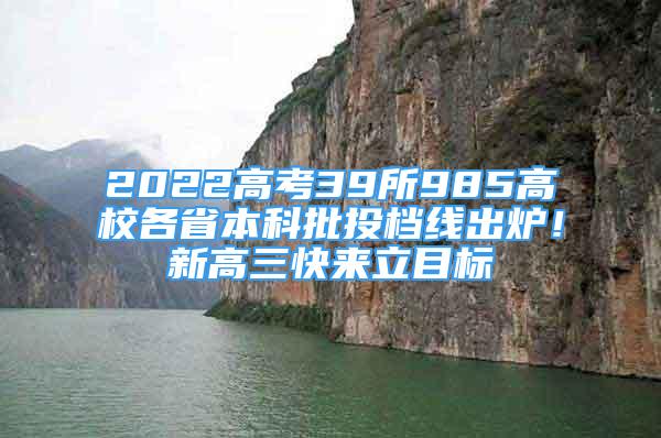 2022高考39所985高校各省本科批投檔線出爐！新高三快來立目標(biāo)