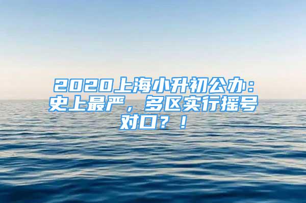 2020上海小升初公辦：史上最嚴(yán)，多區(qū)實(shí)行搖號對口？！