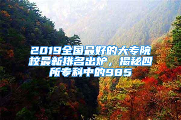 2019全國最好的大專院校最新排名出爐，揭秘四所?？浦械?85