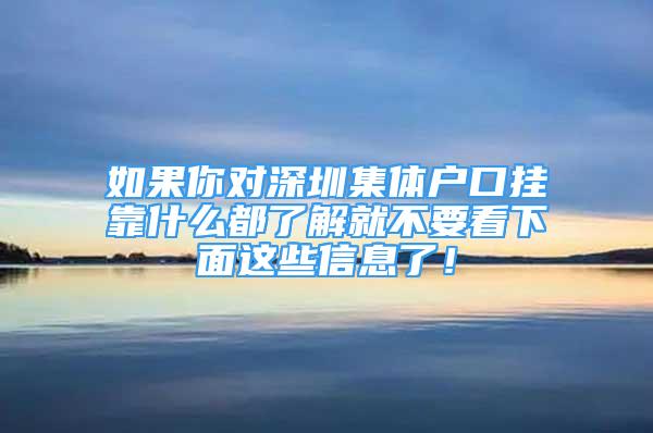 如果你對深圳集體戶口掛靠什么都了解就不要看下面這些信息了！