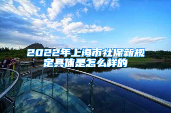 2022年上海市社保新規(guī)定具體是怎么樣的