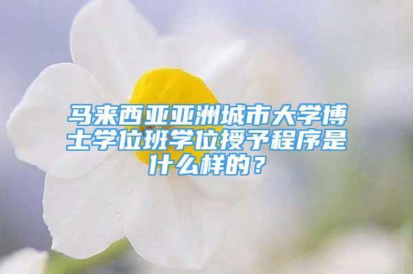 馬來西亞亞洲城市大學博士學位班學位授予程序是什么樣的？