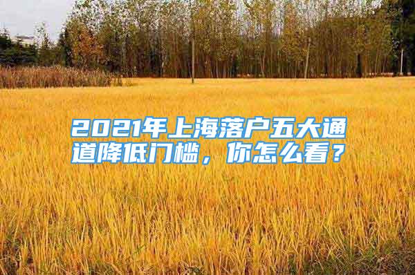 2021年上海落戶五大通道降低門檻，你怎么看？