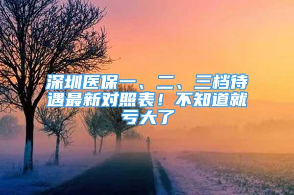 深圳醫(yī)保一、二、三檔待遇最新對照表！不知道就虧大了