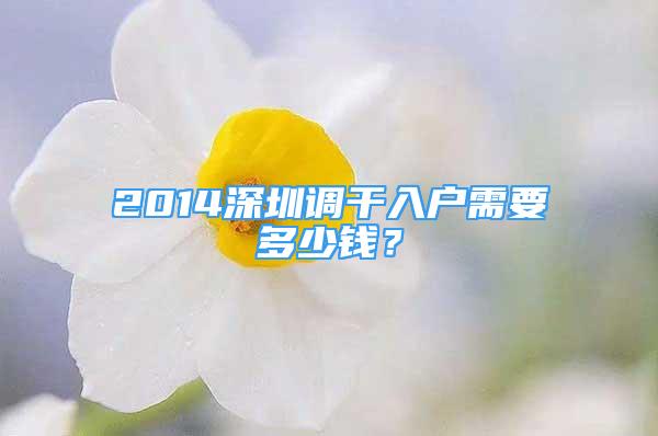 2014深圳調(diào)干入戶需要多少錢？