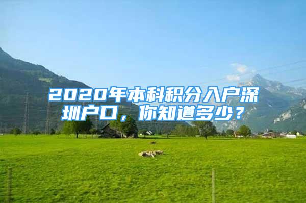 2020年本科積分入戶深圳戶口，你知道多少？