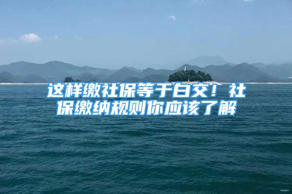 這樣繳社保等于白交！社保繳納規(guī)則你應(yīng)該了解