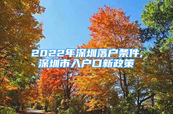 2022年深圳落戶條件,深圳市入戶口新政策