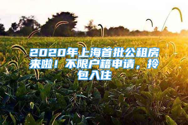 2020年上海首批公租房來啦！不限戶籍申請，拎包入住