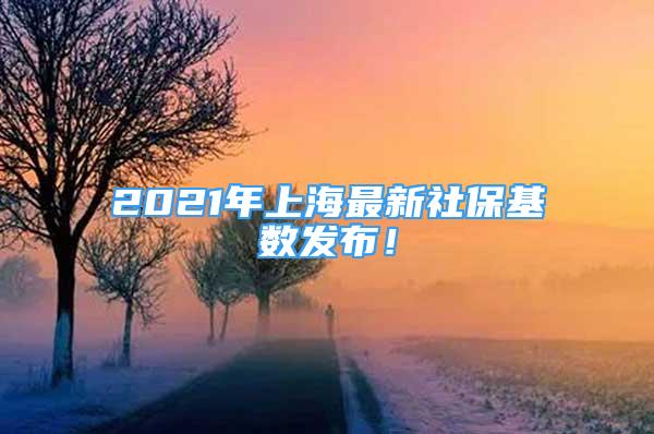 2021年上海最新社?；鶖?shù)發(fā)布！