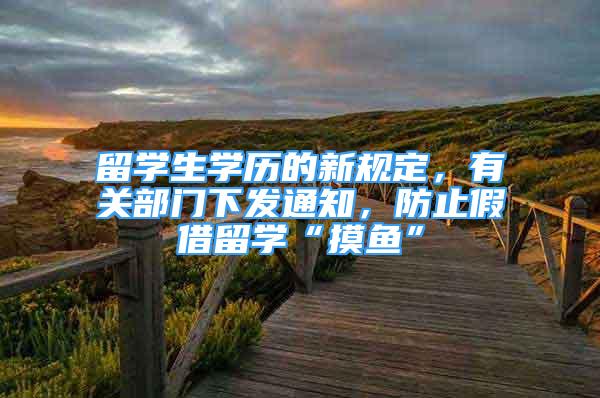 留學生學歷的新規(guī)定，有關部門下發(fā)通知，防止假借留學“摸魚”