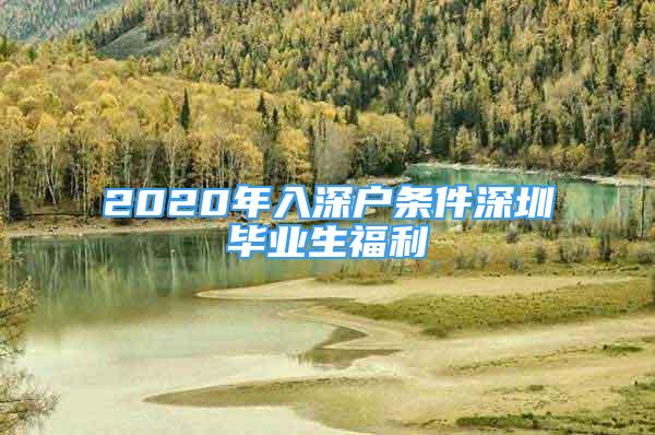 2020年入深戶條件深圳畢業(yè)生福利