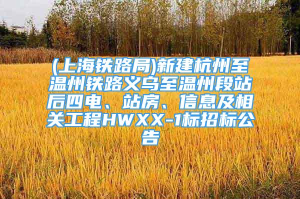 (上海鐵路局)新建杭州至溫州鐵路義烏至溫州段站后四電、站房、信息及相關(guān)工程HWXX-1標(biāo)招標(biāo)公告