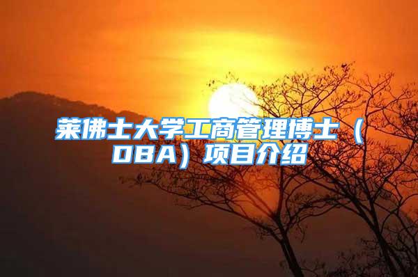 萊佛士大學(xué)工商管理博士（DBA）項(xiàng)目介紹