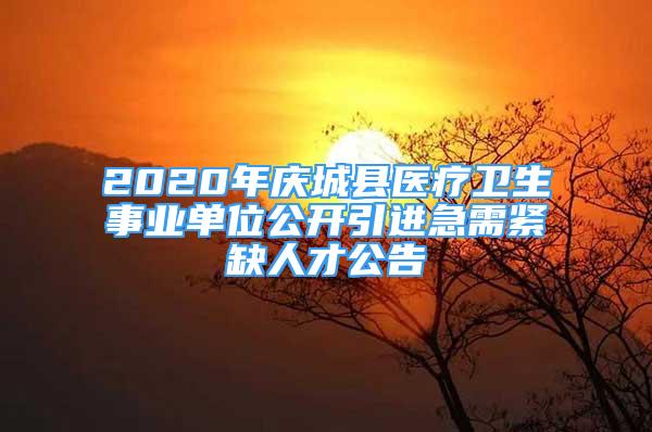 2020年慶城縣醫(yī)療衛(wèi)生事業(yè)單位公開引進急需緊缺人才公告