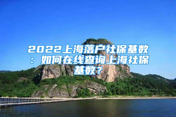 2022上海落戶社保基數(shù)：如何在線查詢(xún)上海社?；鶖?shù)？