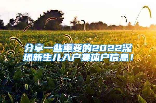 分享一些重要的2022深圳新生兒入戶集體戶信息！