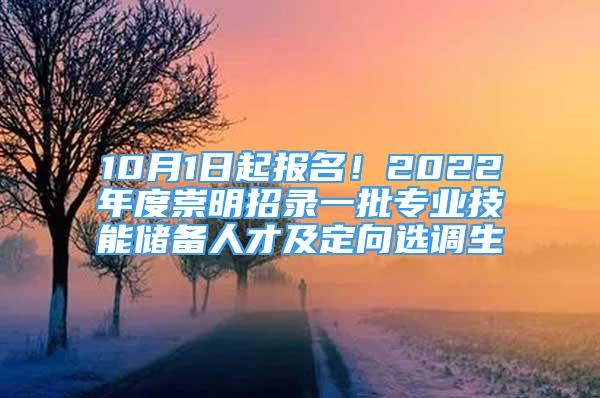 10月1日起報(bào)名！2022年度崇明招錄一批專業(yè)技能儲(chǔ)備人才及定向選調(diào)生