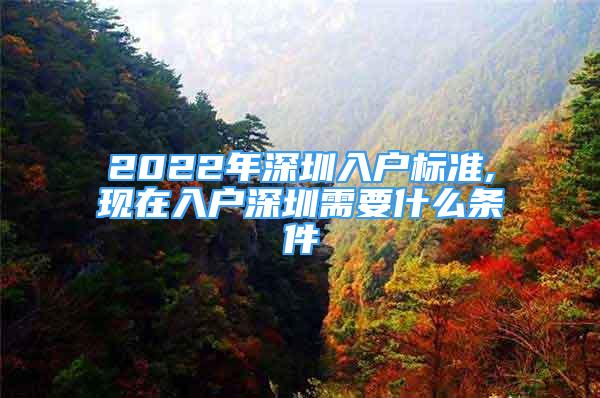 2022年深圳入戶標準,現(xiàn)在入戶深圳需要什么條件