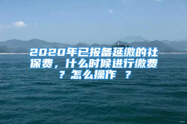 2020年已報(bào)備延繳的社保費(fèi)，什么時(shí)候進(jìn)行繳費(fèi)？怎么操作 ？