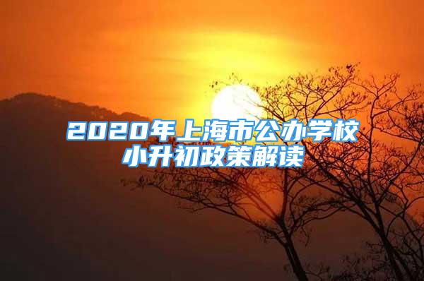 2020年上海市公辦學校小升初政策解讀