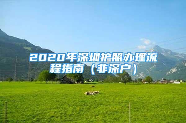 2020年深圳護(hù)照辦理流程指南（非深戶）