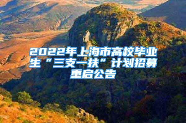 2022年上海市高校畢業(yè)生“三支一扶”計(jì)劃招募重啟公告