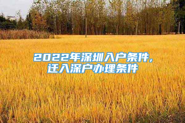 2022年深圳入戶條件,遷入深戶辦理條件