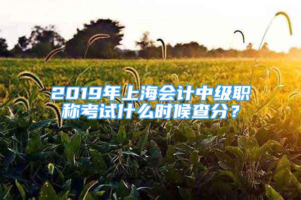 2019年上海會計中級職稱考試什么時候查分？