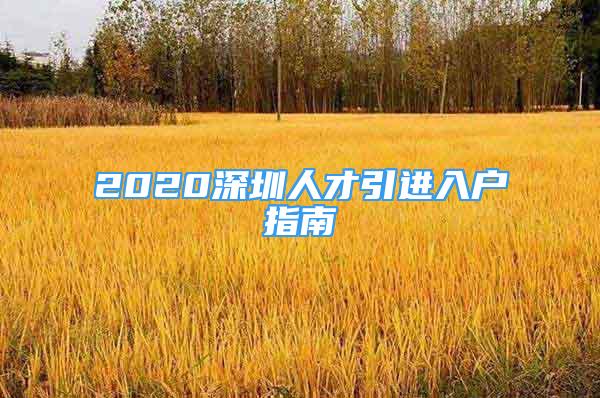 2020深圳人才引進(jìn)入戶指南