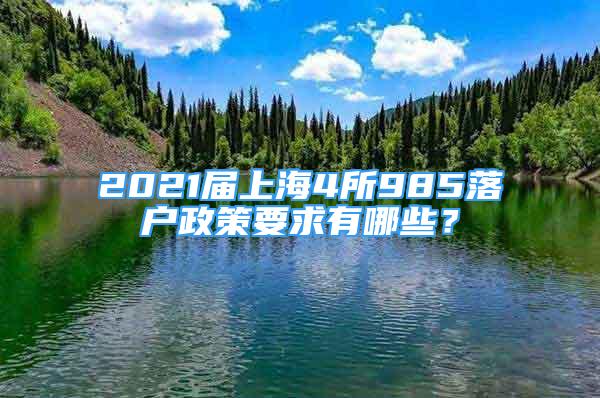 2021屆上海4所985落戶(hù)政策要求有哪些？