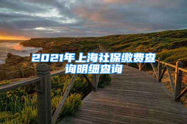 2021年上海社保繳費(fèi)查詢(xún)明細(xì)查詢(xún)