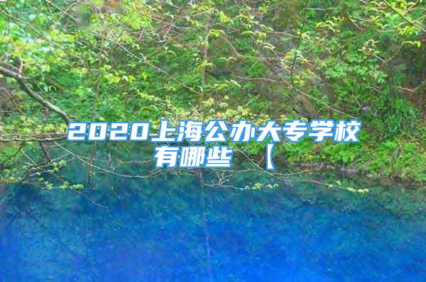 2020上海公辦大專學(xué)校有哪些 【