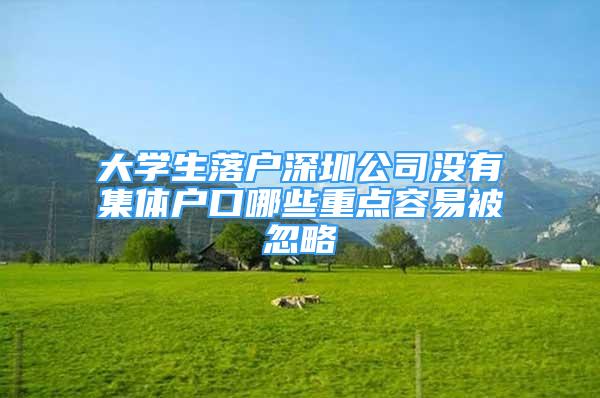 大學(xué)生落戶深圳公司沒有集體戶口哪些重點容易被忽略