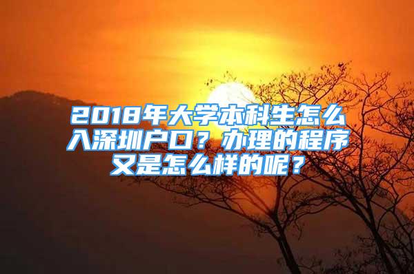 2018年大學(xué)本科生怎么入深圳戶口？辦理的程序又是怎么樣的呢？