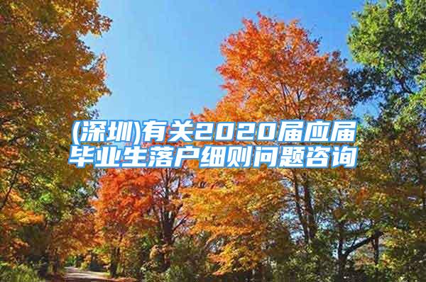 (深圳)有關(guān)2020屆應(yīng)屆畢業(yè)生落戶細(xì)則問題咨詢