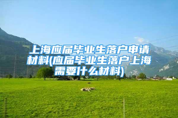 上海應(yīng)屆畢業(yè)生落戶(hù)申請(qǐng)材料(應(yīng)屆畢業(yè)生落戶(hù)上海需要什么材料)